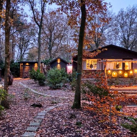 Lodge In Een Bosrijke Omgeving Met Hottub & Sauna Opt Rheezerveen Экстерьер фото