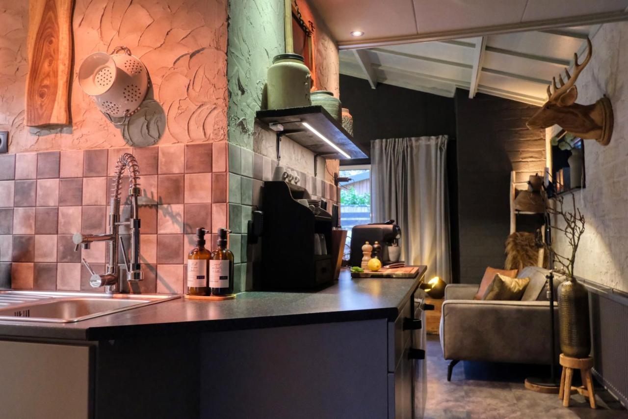 Lodge In Een Bosrijke Omgeving Met Hottub & Sauna Opt Rheezerveen Экстерьер фото