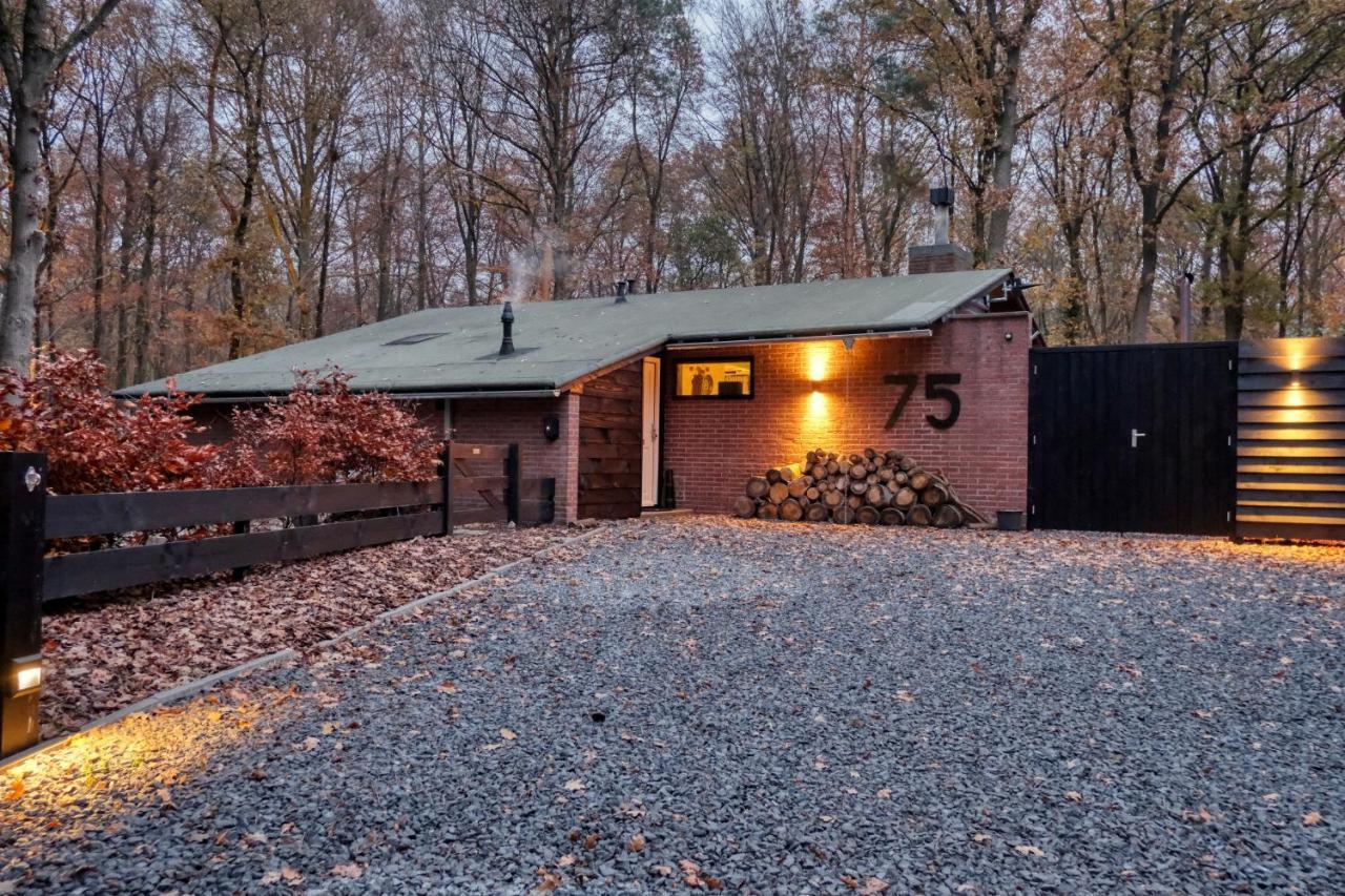 Lodge In Een Bosrijke Omgeving Met Hottub & Sauna Opt Rheezerveen Экстерьер фото
