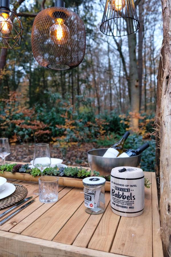 Lodge In Een Bosrijke Omgeving Met Hottub & Sauna Opt Rheezerveen Экстерьер фото